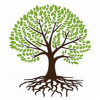 Genealogy Tree Cropped.png