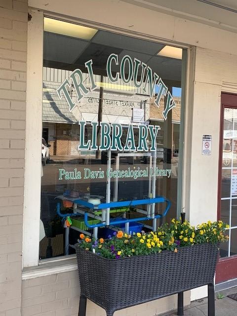 Front window 4.jpg