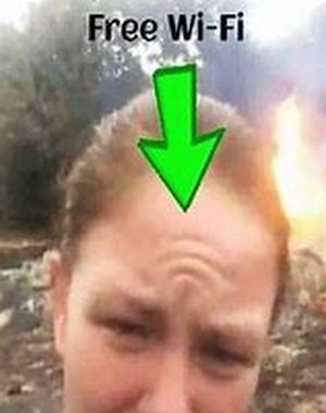 WIFI Cropped.jpg