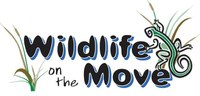 Wildlife on the Move Cropped.jpg Wildlife on the Move Cropped.jpg