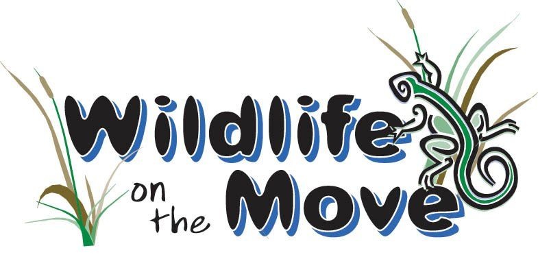 Wildlife on the Move Cropped.jpg